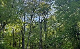 Merlin les pieds dans l'eau
